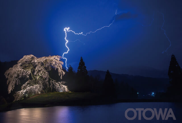 第15回 雷写真コンテスト受賞作品 金賞 -春雷-